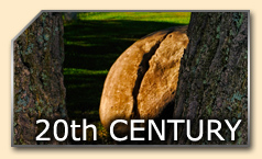20th Century Link